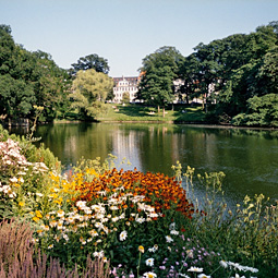 Ørsted's Park